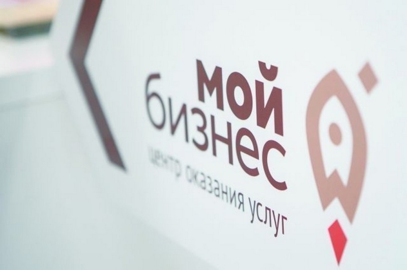 Бизнес Волгоградской области за два месяца получил 906 различных услуг