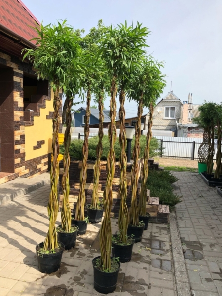 #этомойбизнес: 5 историй, которые нас вдохновили