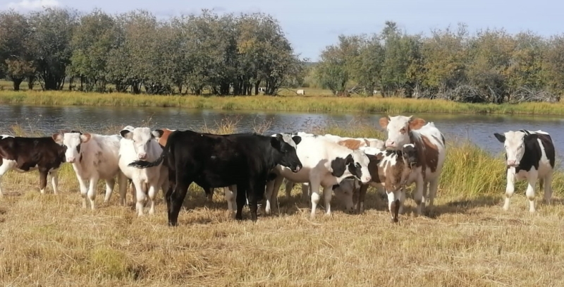 Как соцконтракт помог многим жителям Якутии открыть свой бизнес